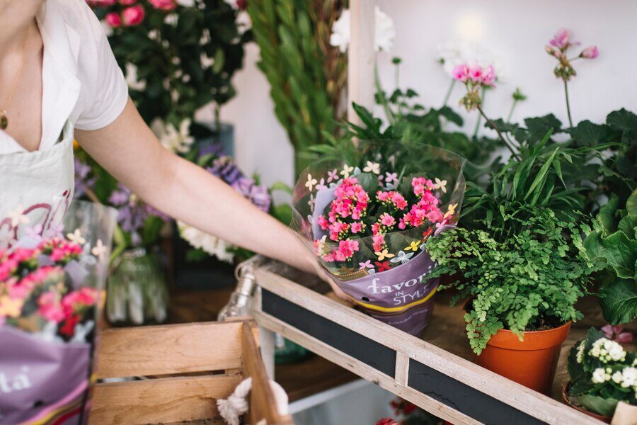 vendita-piante-fiori